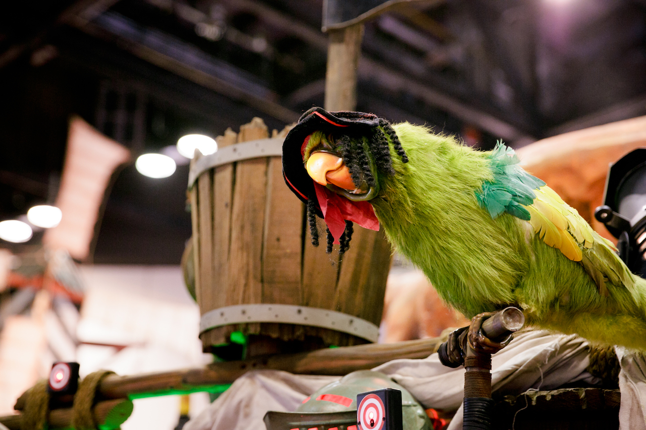 Pirate Parrot