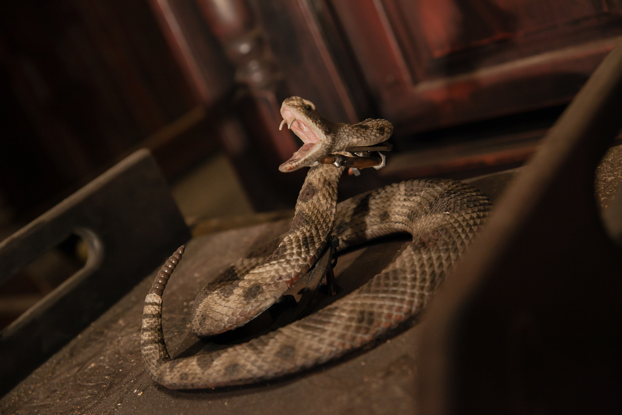 Rattlesnake